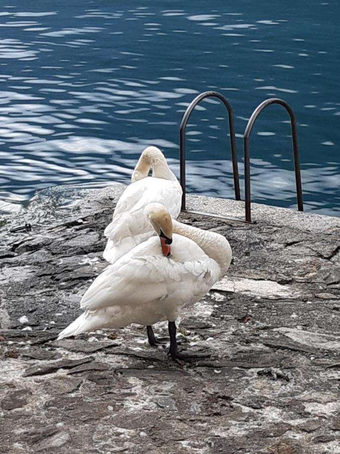 Casa Con Vista Lago A Nesso Dış mekan fotoğraf